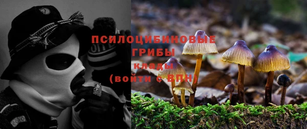 мескалин Осташков