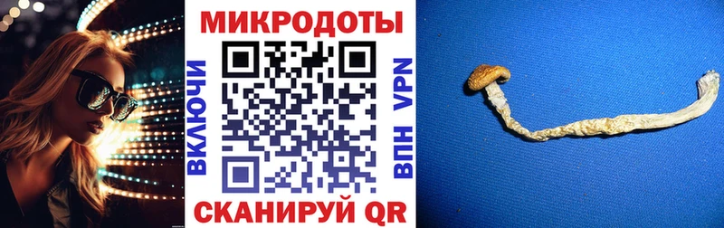 mega как зайти  Наволоки  Галлюциногенные грибы Psilocybe 